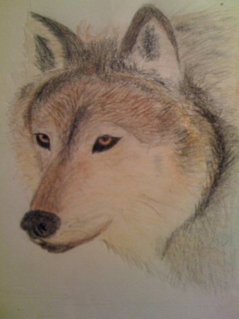  :  : The Art of Madison Miller